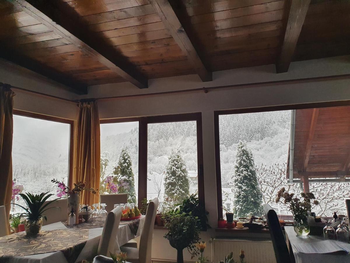 Pensiunea Casa Motilor Guest house 3*