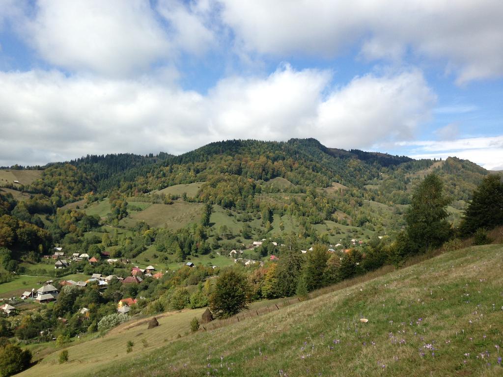 Pensiunea Casa Motilor Bucium (Alba)