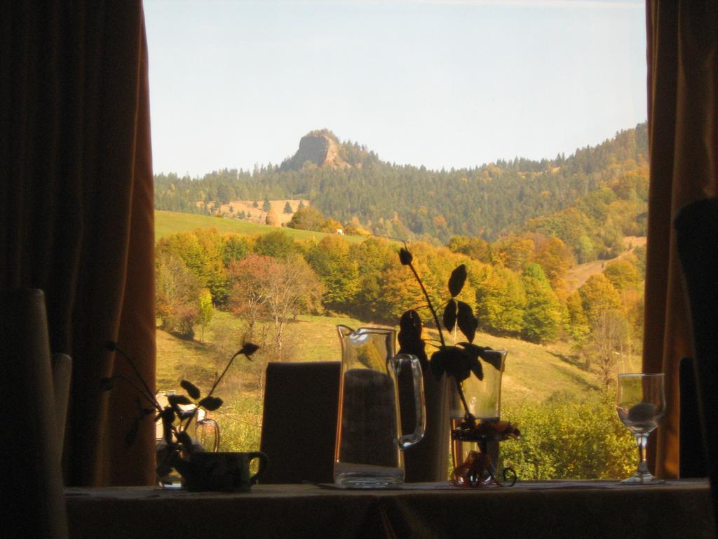 Guest house Pensiunea Casa Motilor 3*